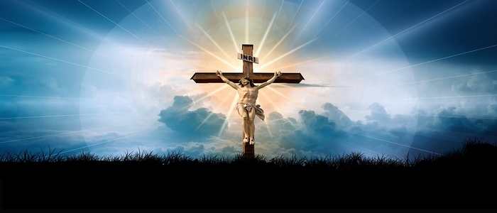 Webp.net-resizeimage (11)-2