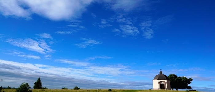 Webp.net-resizeimage (11)-3