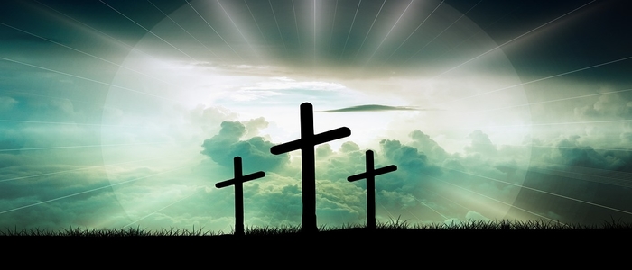 Webp.net-resizeimage (13)-2
