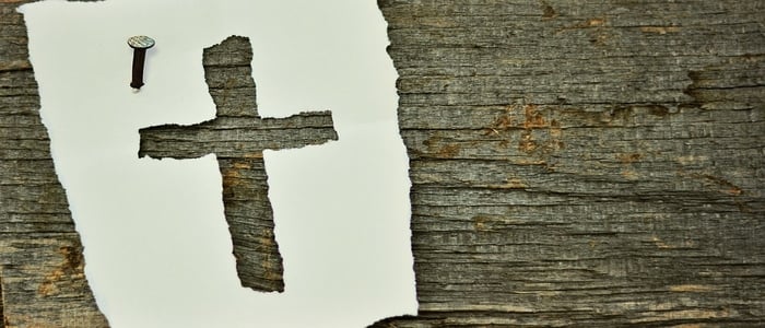 Webp.net-resizeimage (15)-2