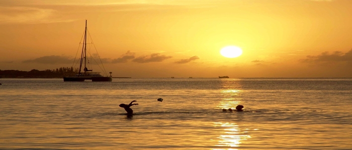 Webp.net-resizeimage (19)-1