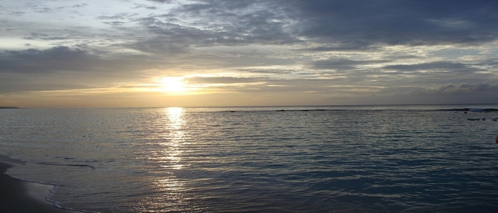 Webp.net-resizeimage (20)-1