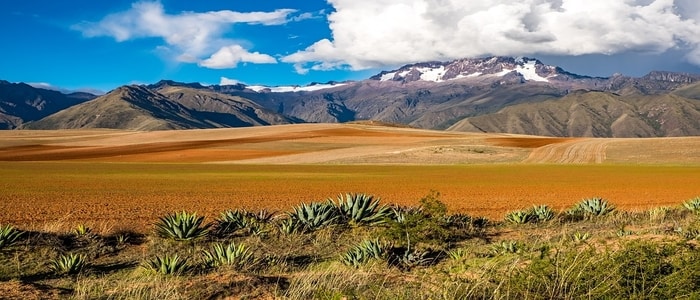 Webp.net-resizeimage (28)-1