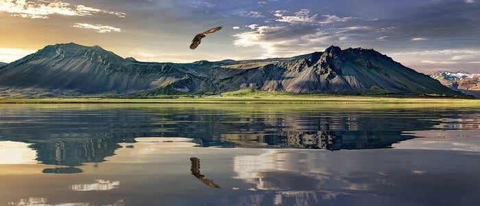 Webp.net-resizeimage (32)