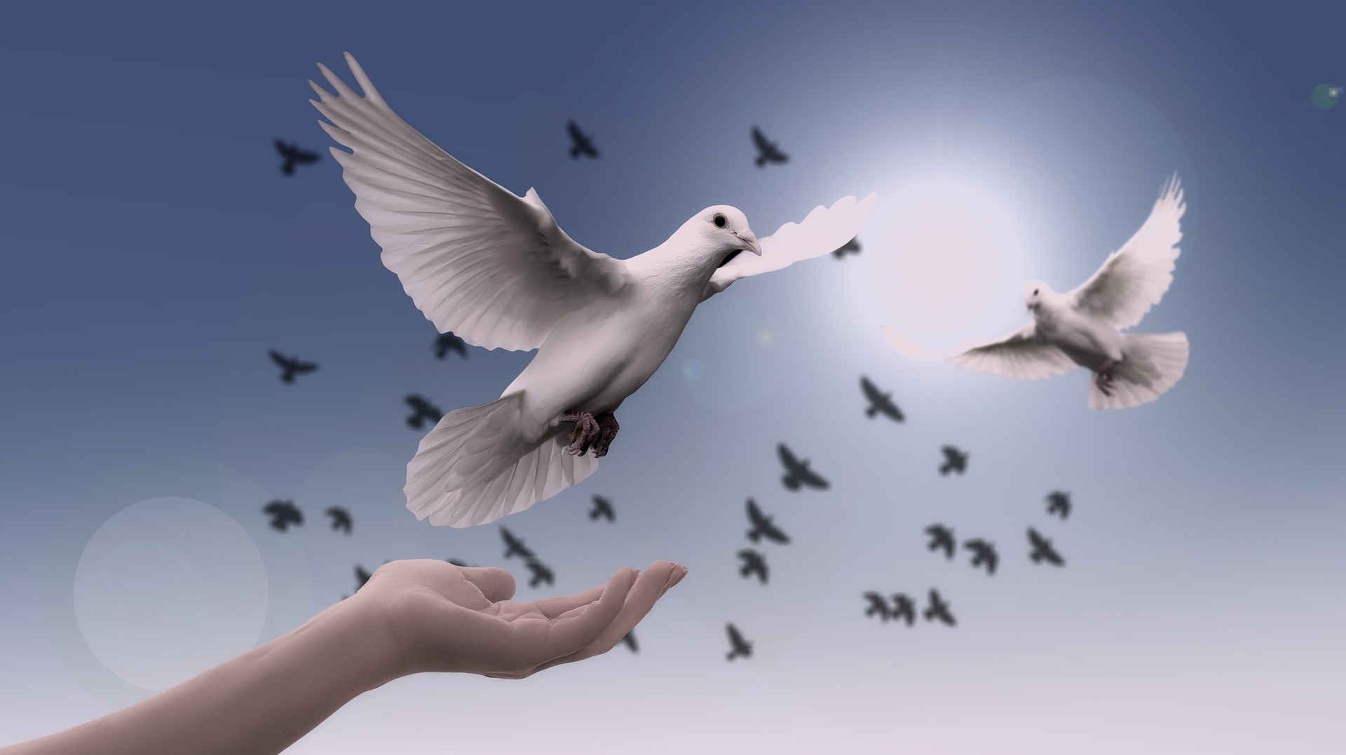 Webp.net-resizeimage (6)-1