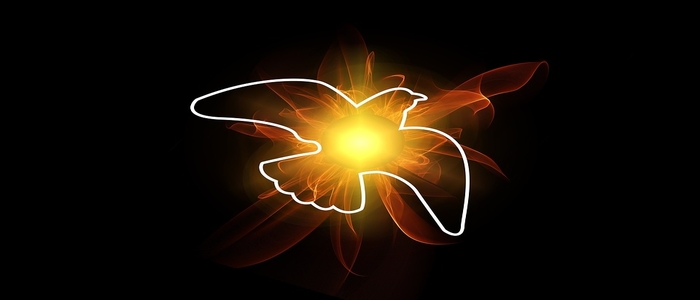 Webp.net-resizeimage (9)