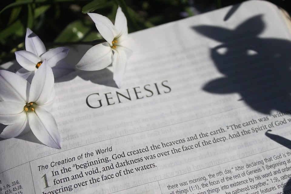 bible-4058431_960_720