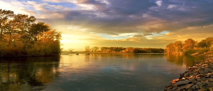 Webp.net-resizeimage (7)-5